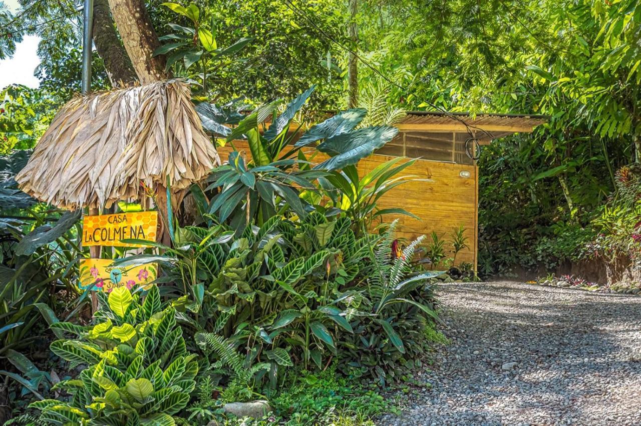 Casa La Colmena Vila Cahuita Exterior foto