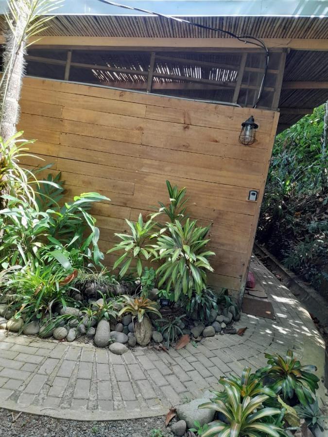 Casa La Colmena Vila Cahuita Exterior foto